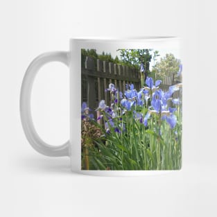 Iris at the garden fence Mug